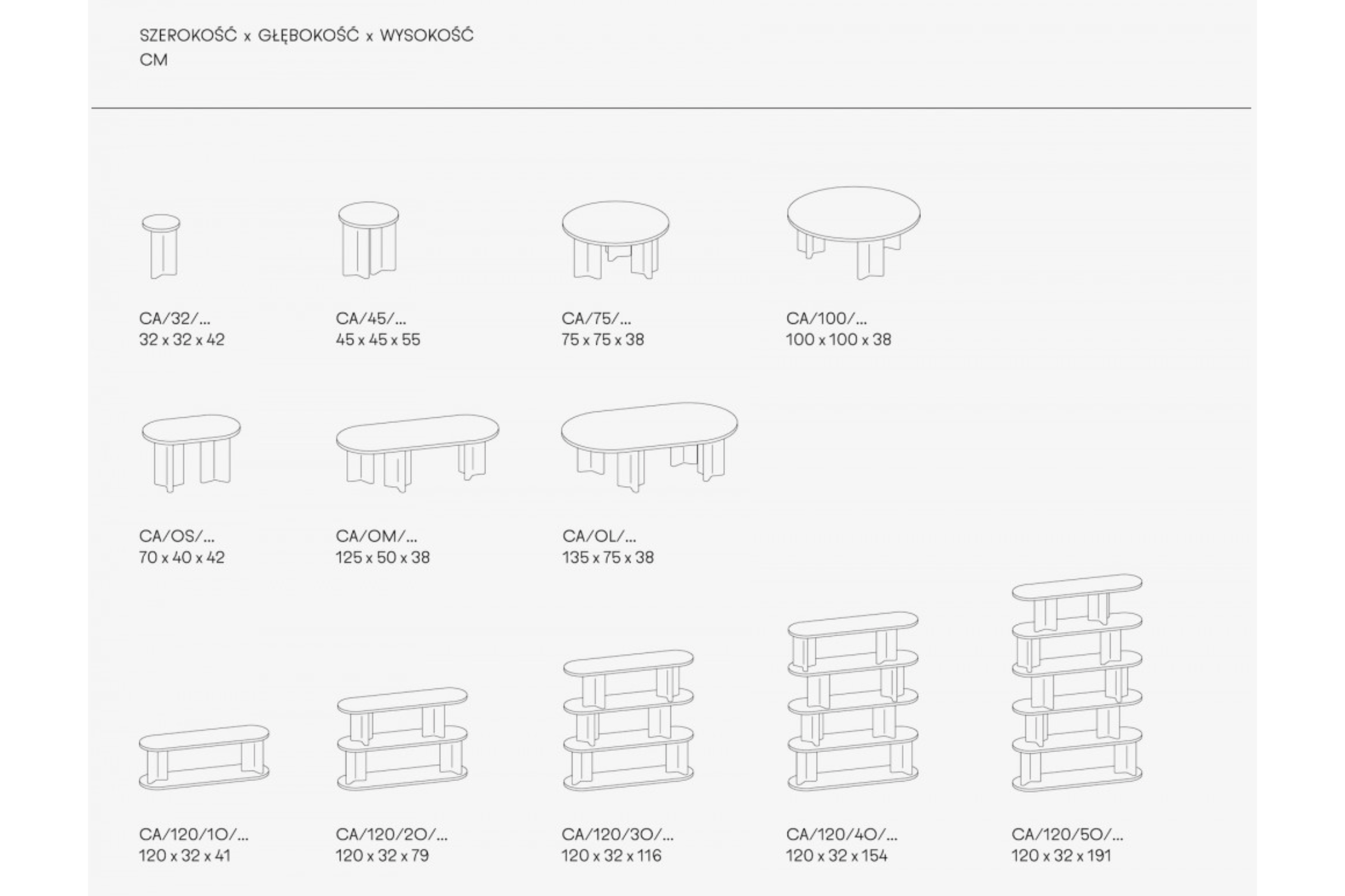 Cactus_wymiary_1